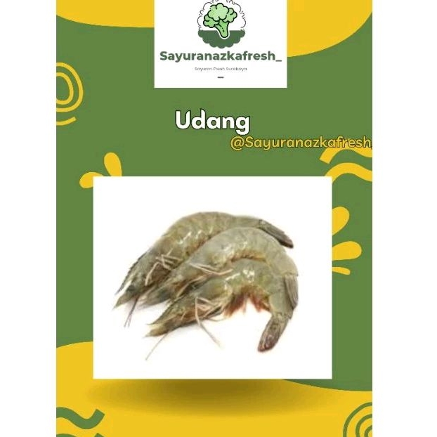 

Udang Vaname sedang