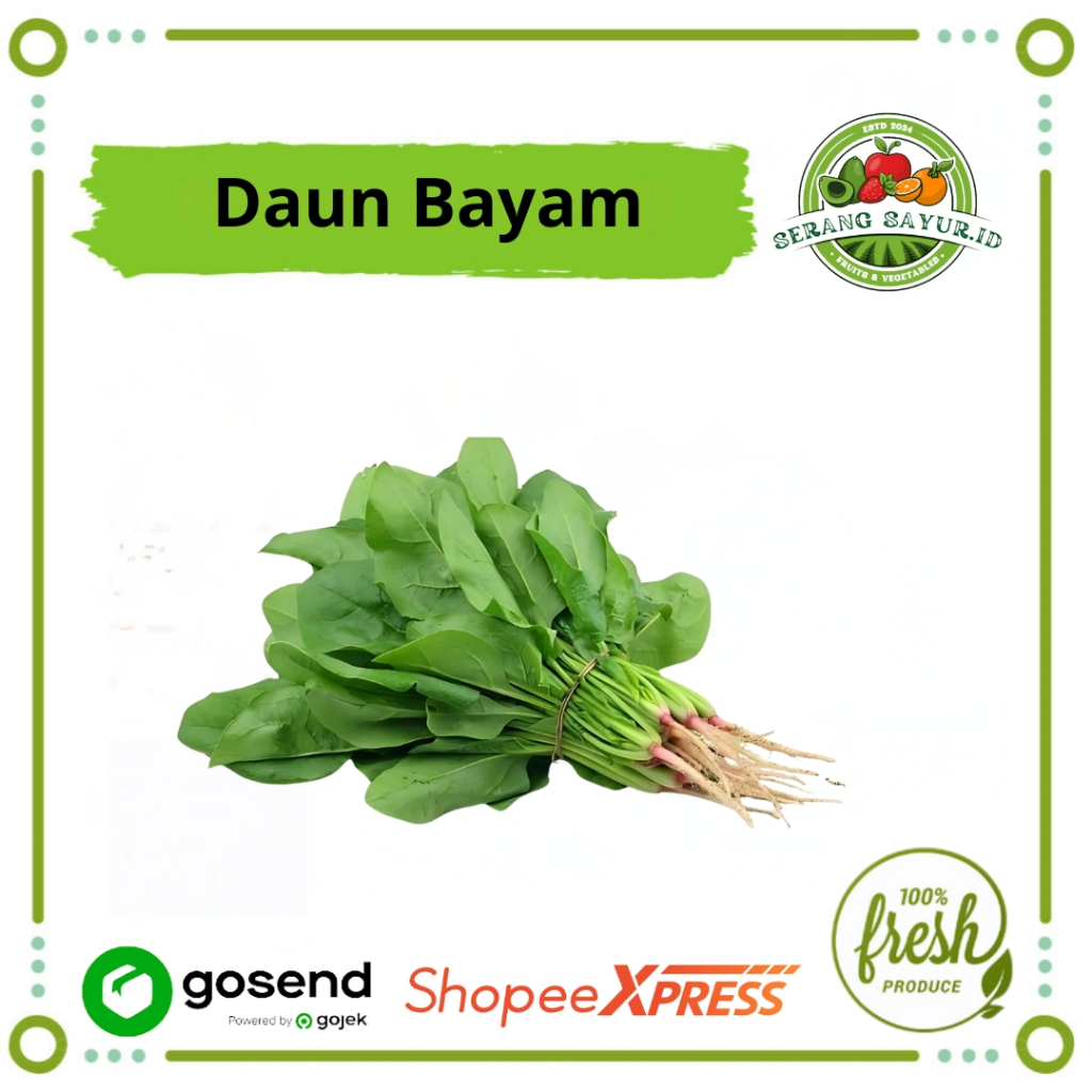 

[INSTAN SERANG] DAUN BAYAM / IKAT