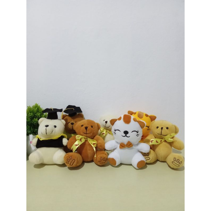 BONEKA BERUANG WISUDA/BONEKA WISUDA/BONEKA HAND BUCKET/BONEKA SATUAN/BONEKA ECERAN/BONEKA BUCKET/BON