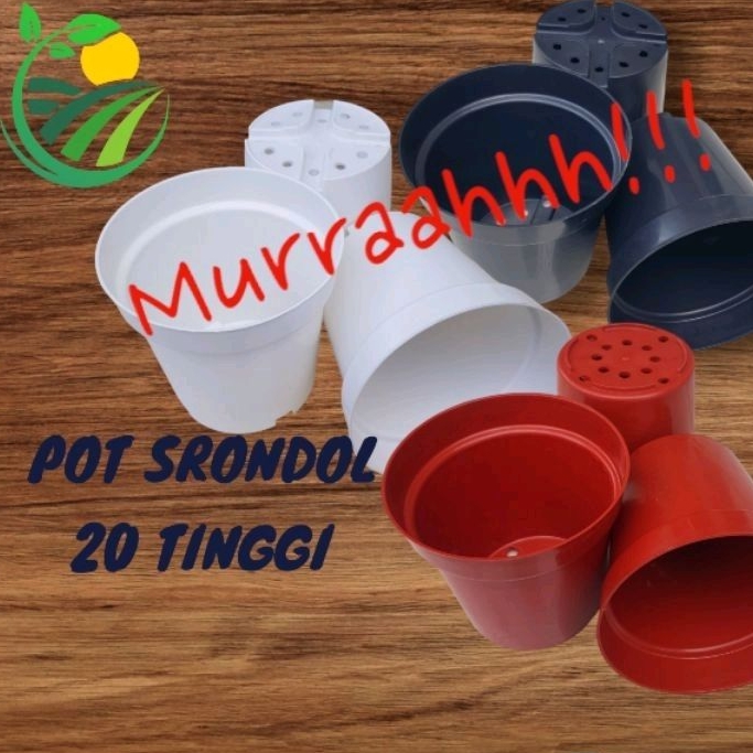 RUPLAS POT SRONDOL 20 TINGGI /merah hitam putih/pot tanaman/pot tinggi/pot plastik