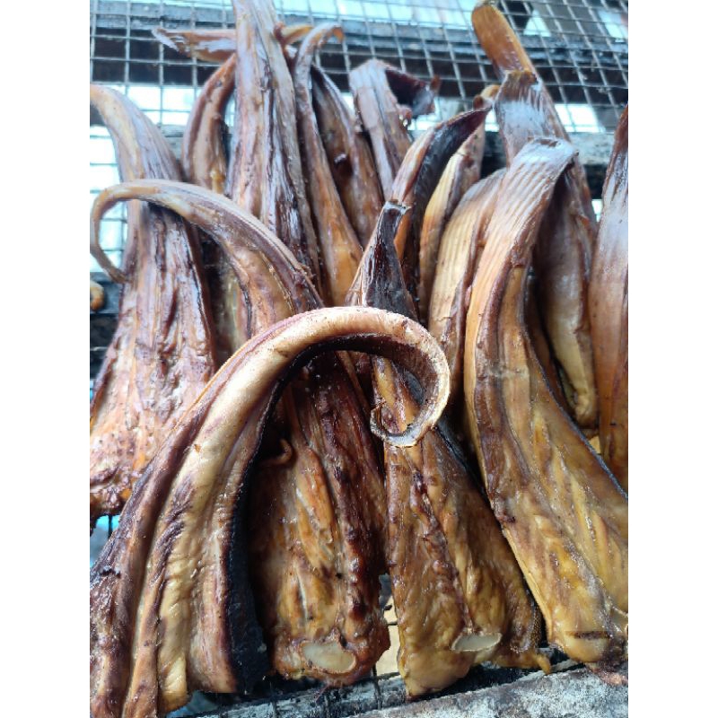 

IKAN ASAP PARI