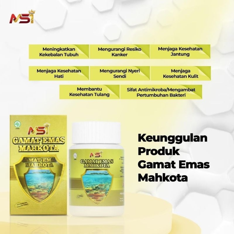 Kapsul GAMAT GOLD (TERIPANG EMAS) ORIGINAL MSI