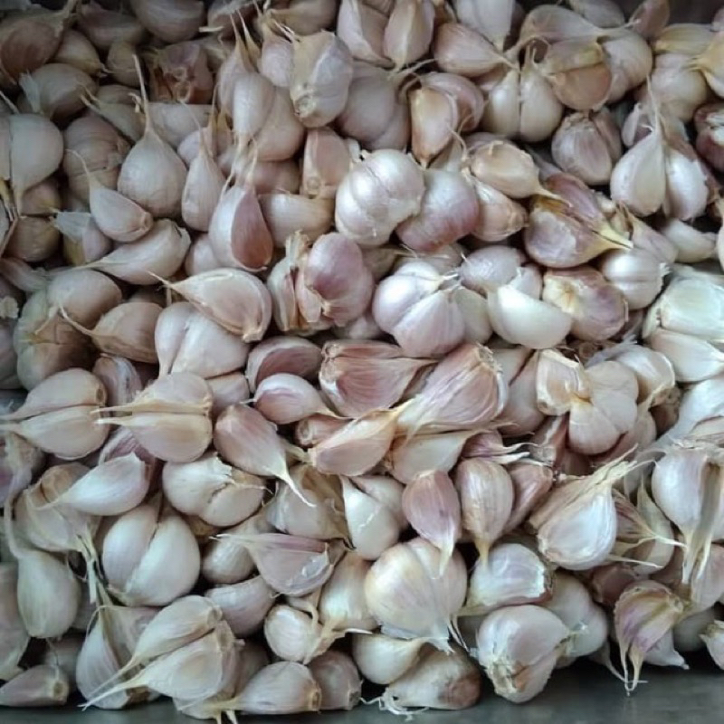 

Bawang kating 250gr