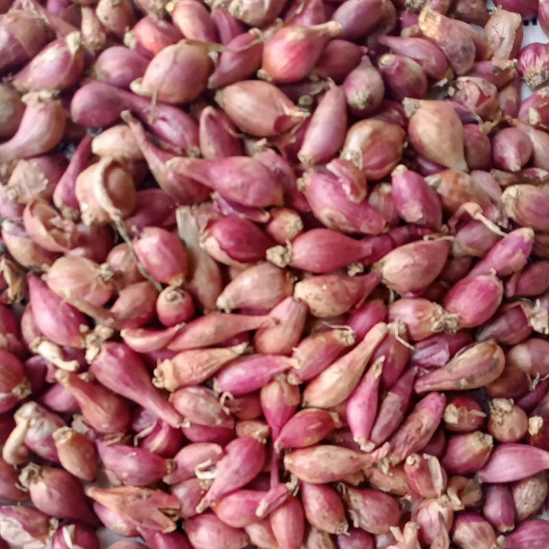 

bawang merah 300 gram berkualitas