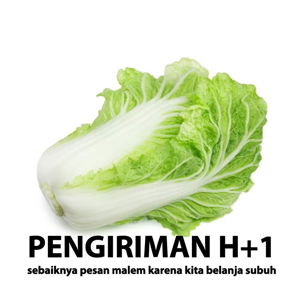 

SAWI PUTIH / PETSAY Napa cabbage