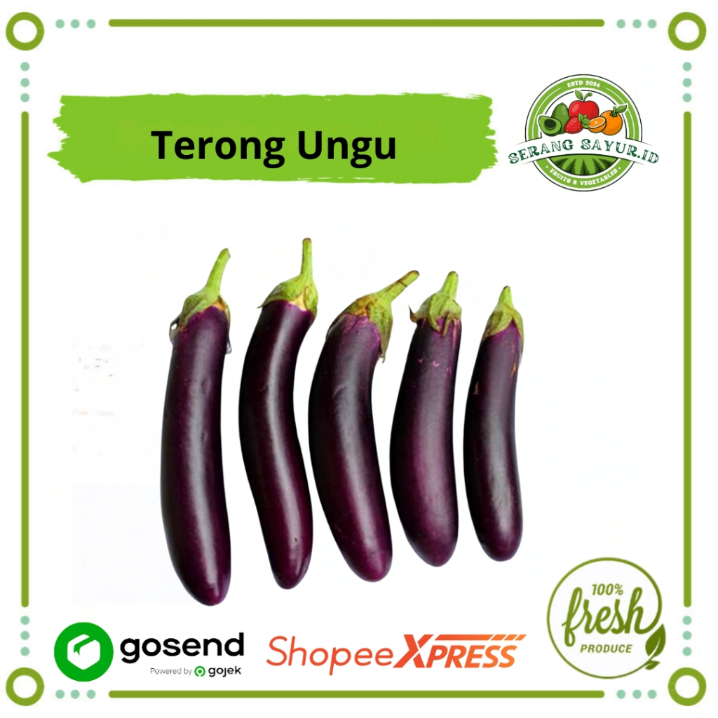 

[INSTAN SERANG] TERONG UNGU 500 GR