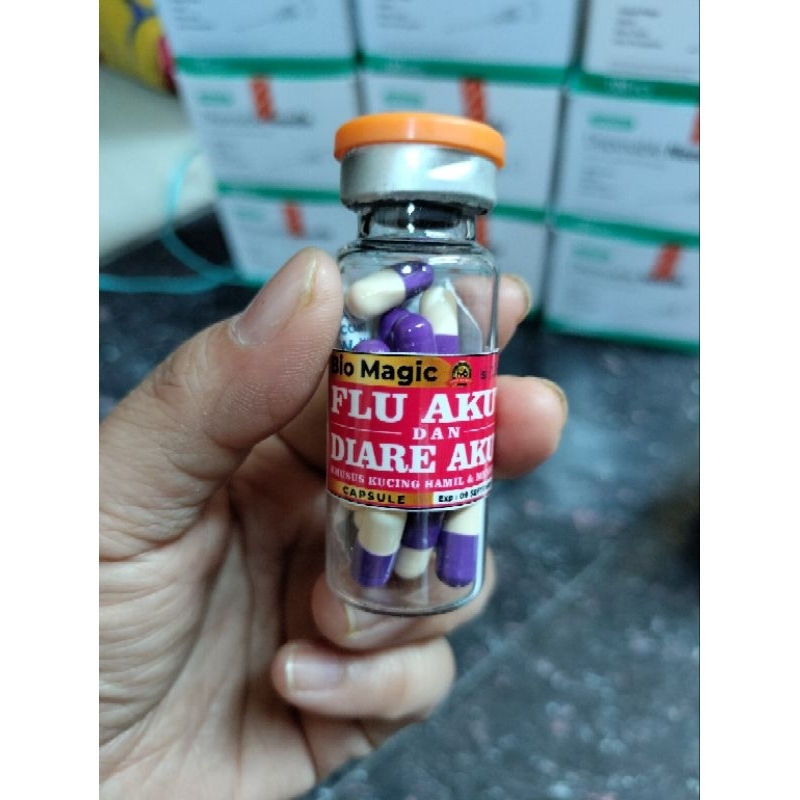 Flu & Diare Akut Khusus Kucing Hamil