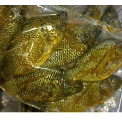 

mujair bumbu kuning siap goreng