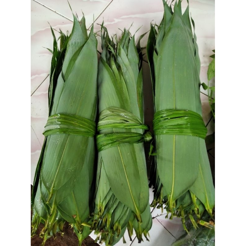 

Daun bambu jumbo bungkus Bacang per 100 lembar masih segarAdytiastory