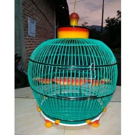 sangkar burung puter/derkuku