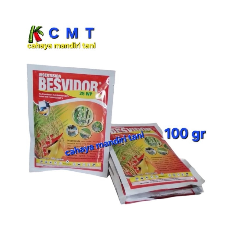 BESVIDOR 25 WP 100 GR
