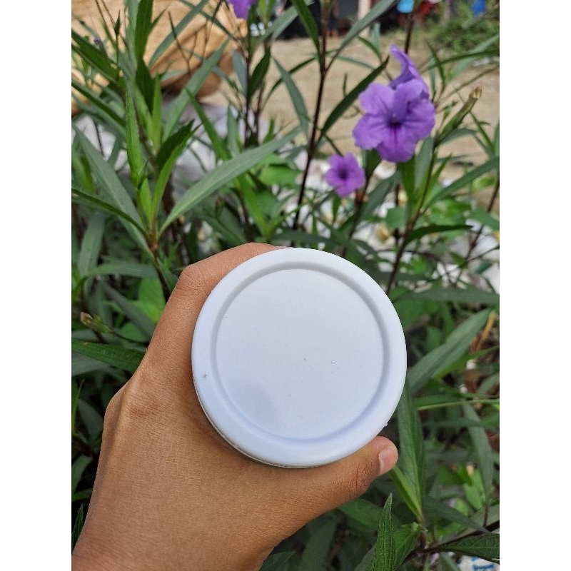 Botol Kaca Jar 250 ml