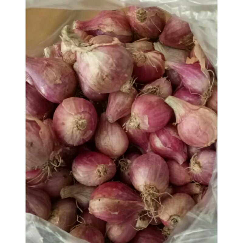 

bawang merah 30.000/ kg