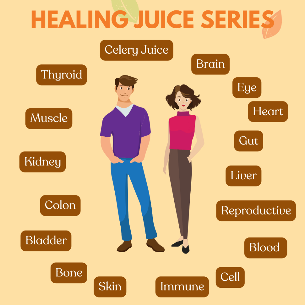 

SDF Anti Constipation Healing Juice ml Jus Gut Healer Series dengan untuk Pencernaan Sembelit Gerd