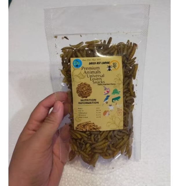 Maggot kering Premium Grade A+ / Maggot BSF