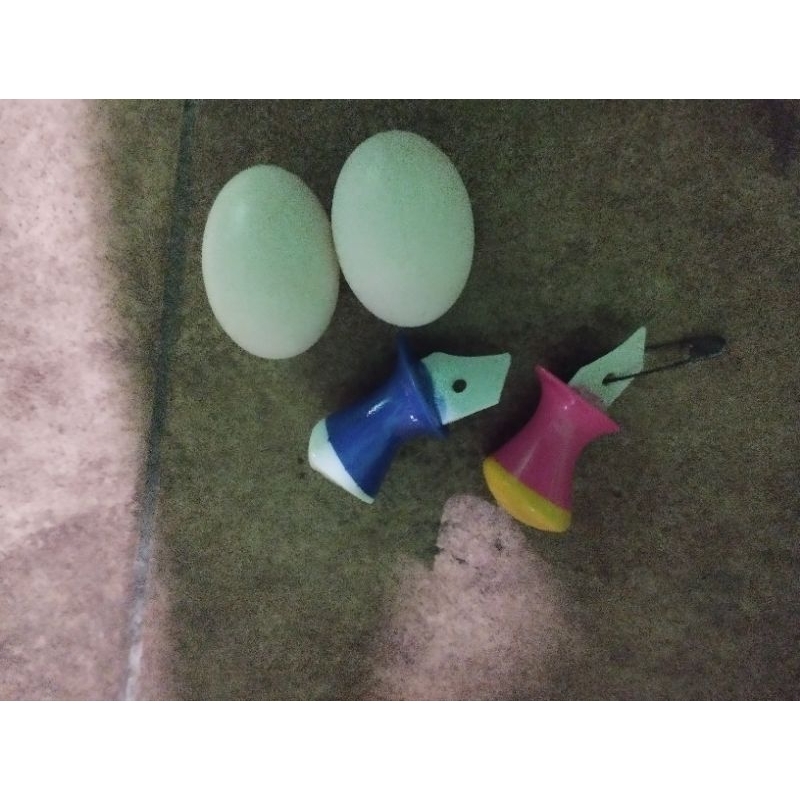 

telur merpati