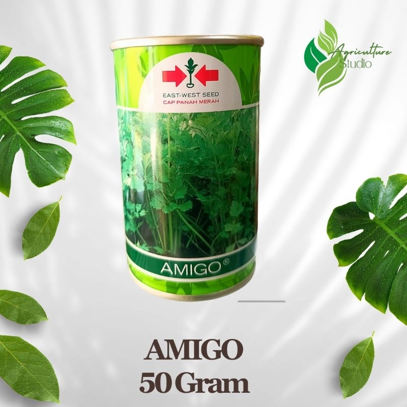 Benih Seledri Amigo Kaleng 50Gram