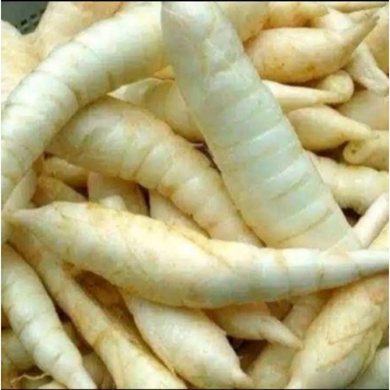 

Tepung pathi garut cap jempol 1kg