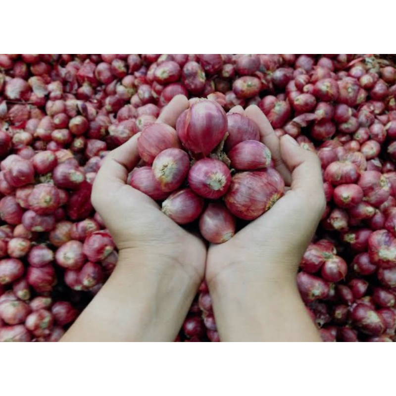 

Bawang Merah 1kg