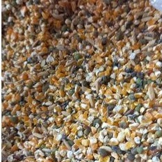 Garansi Sampai  jagung campur gabah merah kiloan makanan burung derkuku puter ayam kate ayam bangkok