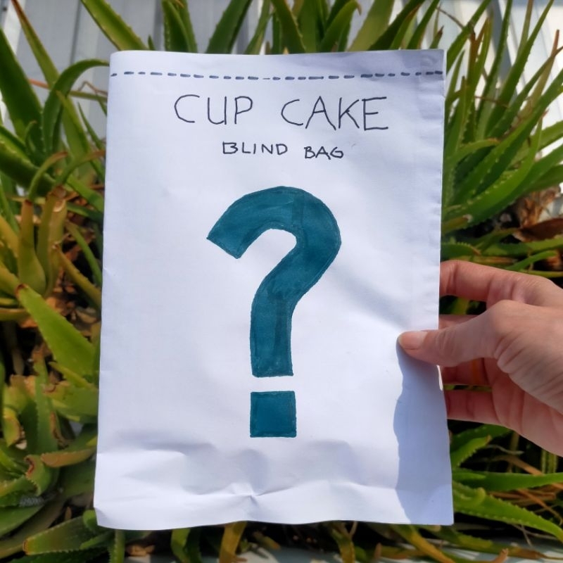 BLIND BAG CUPCAKE / Cupcake blind bag / mainan edukasi / SURPRISE BAG