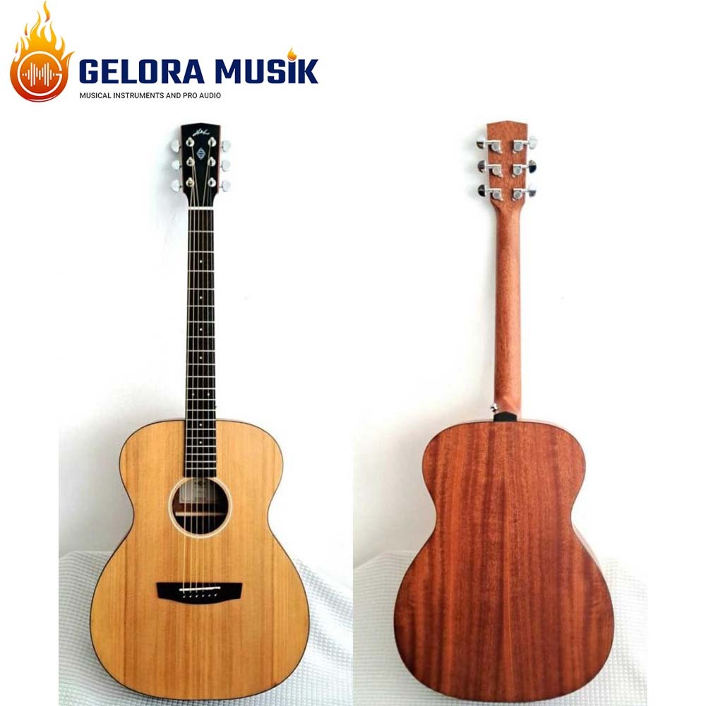 Gitar Akustik Hex F70E M