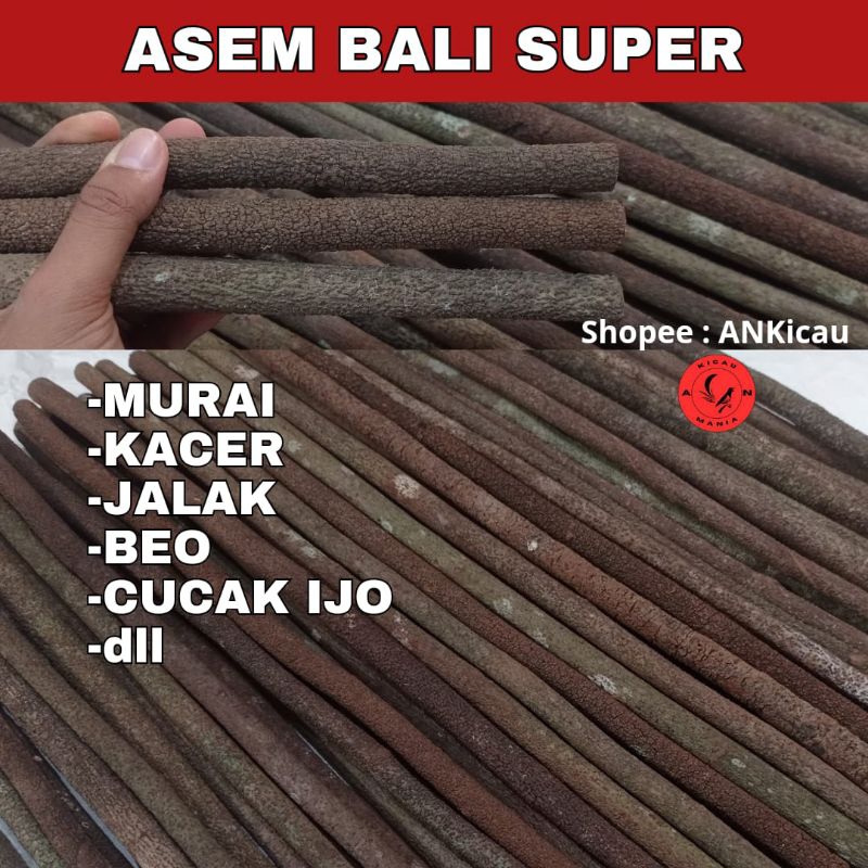 ASEM BALI SUPER ±65CM GRADE A SUPER