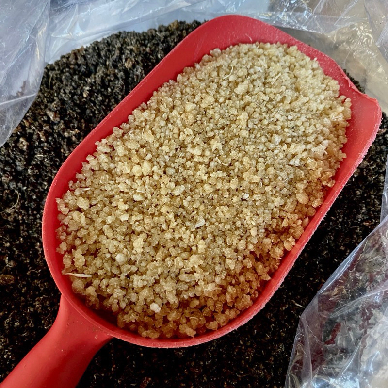 

Tiwul Instan/Oyek/1kg