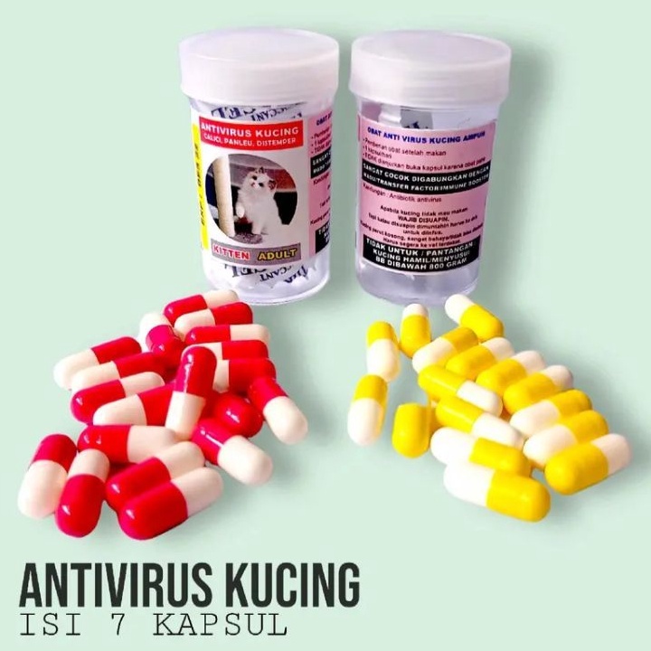 KODE D49I Obat Virus Kapsul Ajaib Kucing Calici Panleukopenia Distemper Terampuh