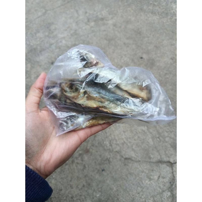 

Ikan Asin Kering klotok dan bader