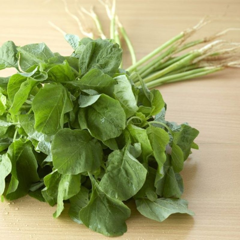 

BAYAM HIJAU SAYUR BAYAM