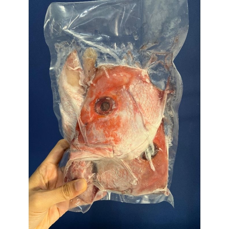 

Kepala Ikan Kakap Merah