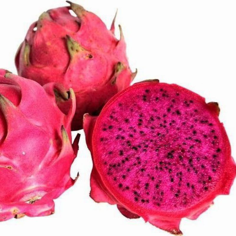 

[KIRIM INSTAN] Buah Naga Merah