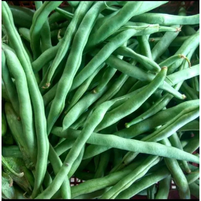 

bunycis 1 kilo 18 Ribu