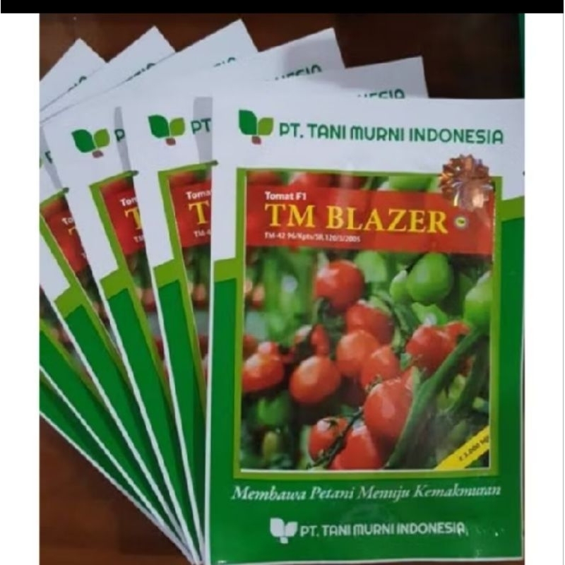 Benih TM BLAZER ISI +- 3.000 BIJI/BENIH TOMAT/BIBIT TOMAT/TOMAT F1 TM BLAZER
