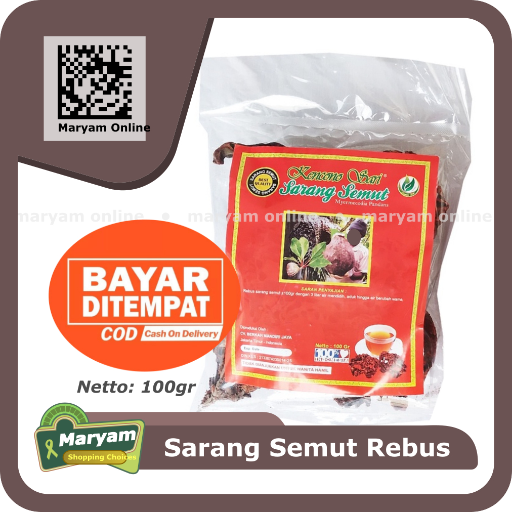 

Sarang Semut Papua Asli Kencono Sari