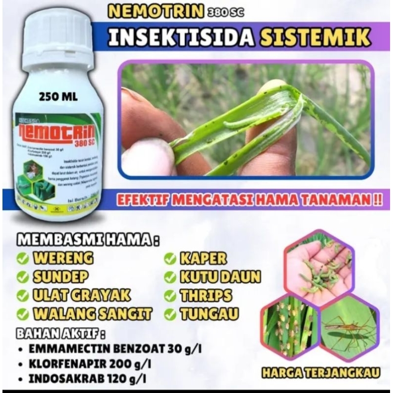 INSEKTISIDA NEMOTRIN / INSEKTISIDA CAIR / INSEKTISIDA / NEMOTRIN 250 ML / MENANGGULANGI HAMA ULAT / 