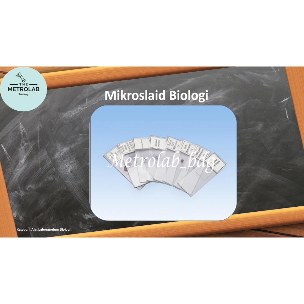 Mikroslaid Stomata, Jagung, utuh | Preparat Kering