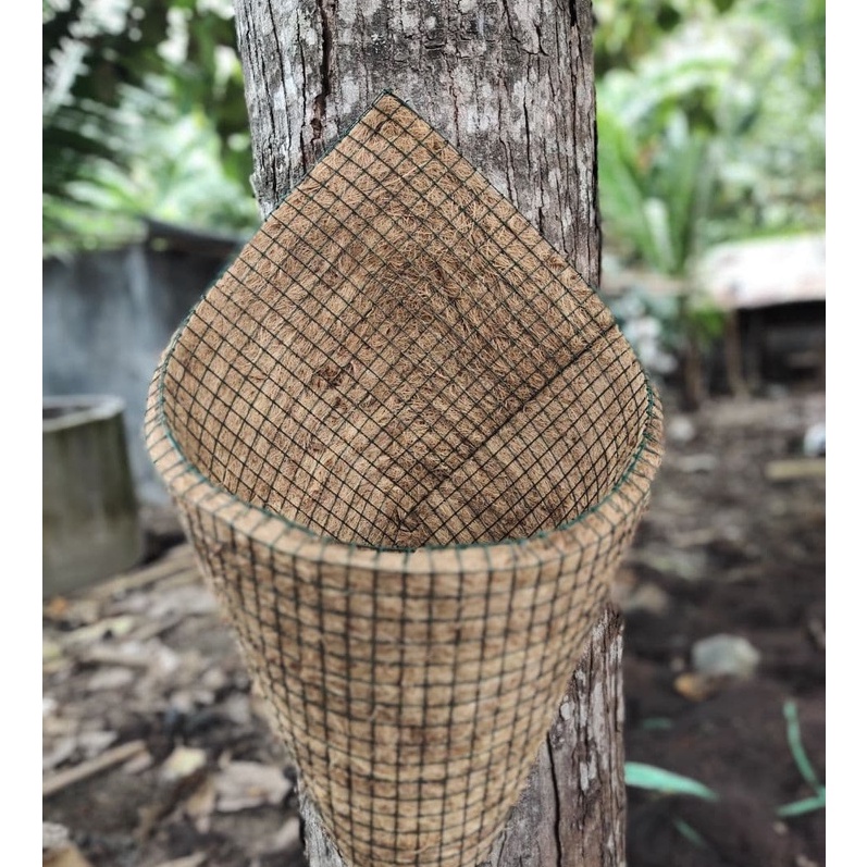 KF7 Pot sabut 2 cm pot cantel sabut pot kerucut sabut kelapa