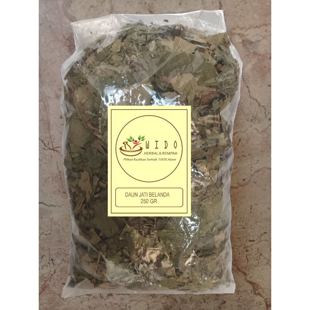 

Termurah Daun Jati Belanda 250 gr 250 gram