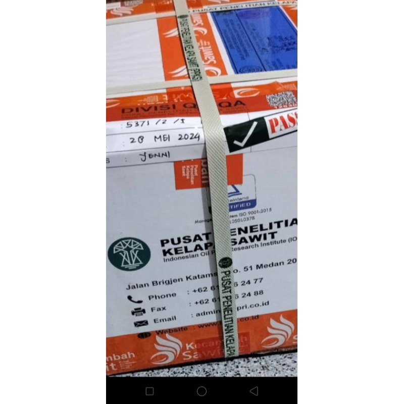 Bibit unggul jaya DXP PPKS