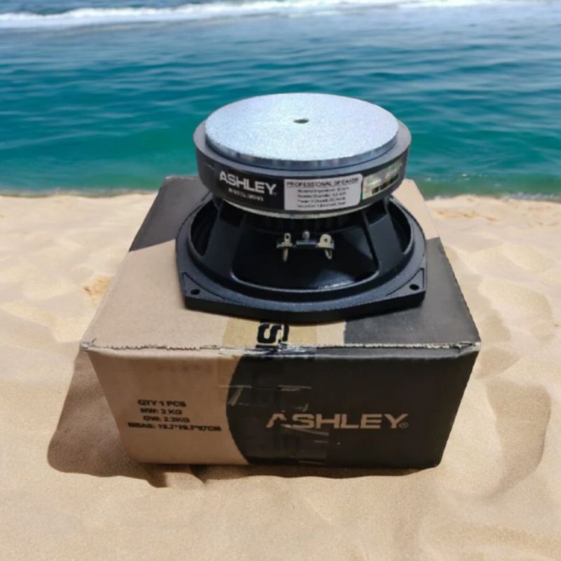 Speaker Component Ashley MD 65 Woofer MD65 Original Ashley