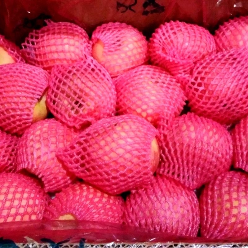 

APEL BURUK RUPA MERK RANDOM (KULIT HANYA LECET DALAM MASIH OK)