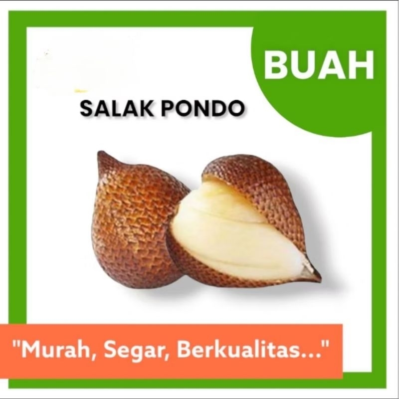 

SALAK PONDO | 1 KG | SALAK MANIS | { ERLANGGA MARKET}