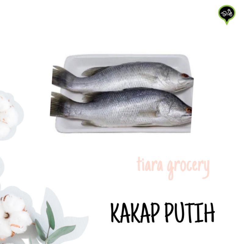 

Kakap putih