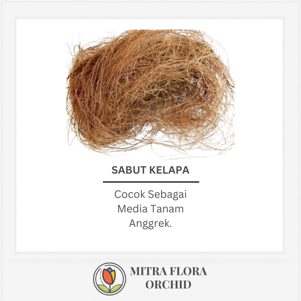 Media Tanam Sabut Kelapa