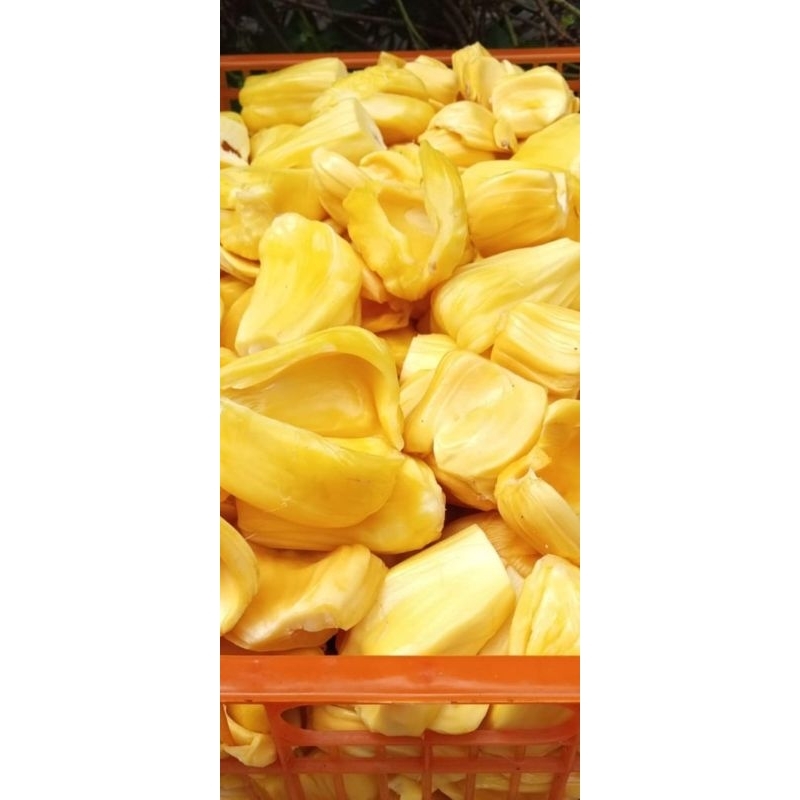 

Nangka kupas non biji 500 gram