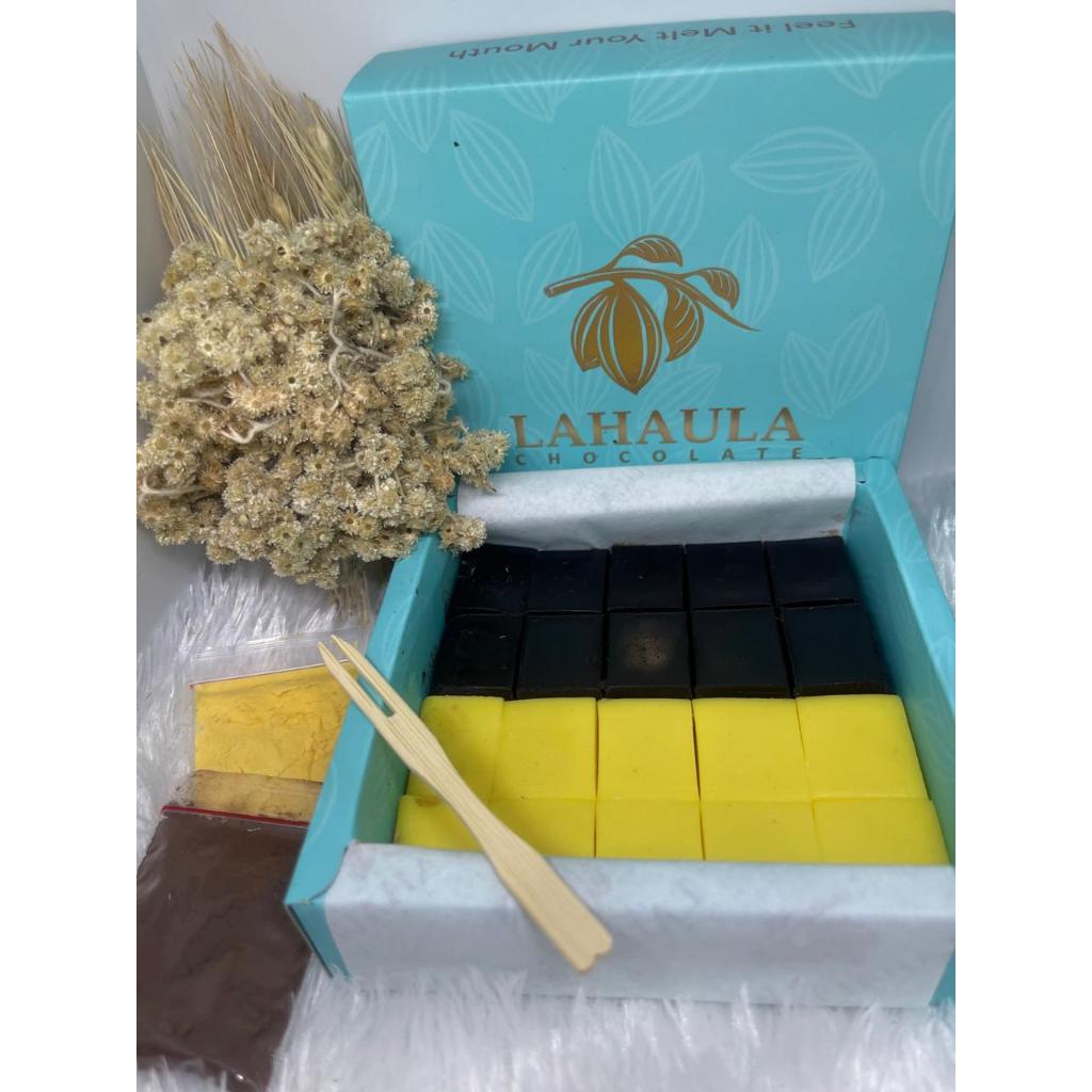 

Lahaula Coklat Manggo dan Dark chocolate 150gr Mix