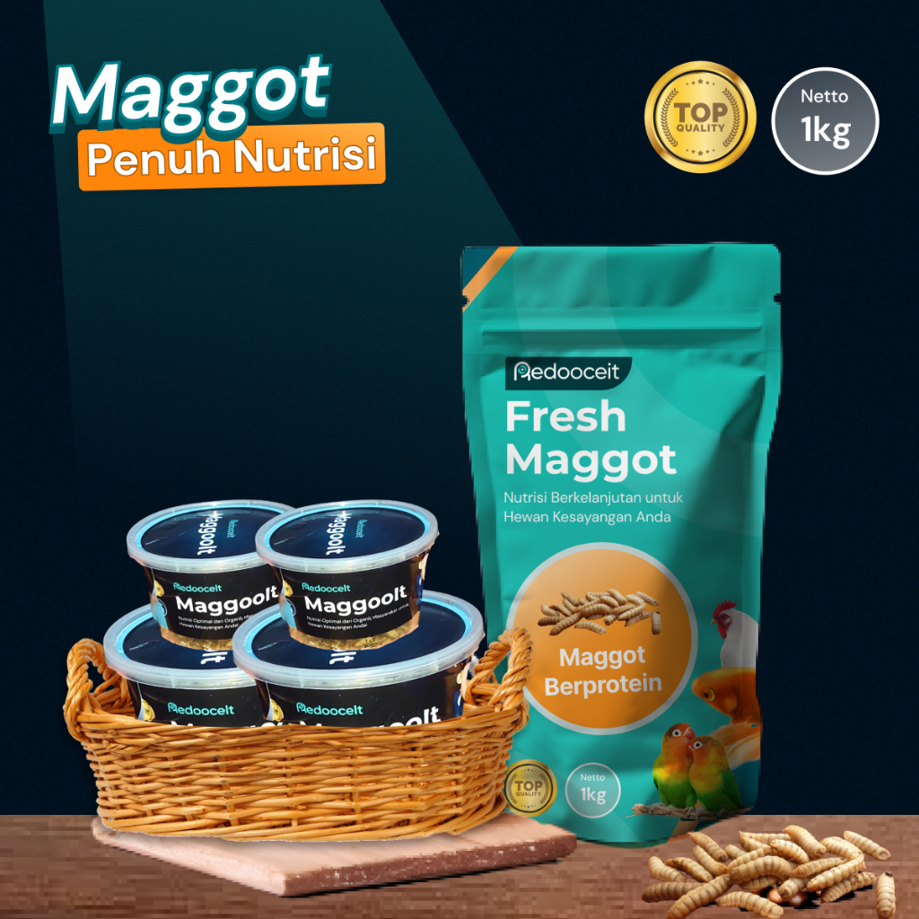 MAGGOT BSF FRESH BASAH PAKAN AYAM TINGGI PROTEIN - MAGGOIT
