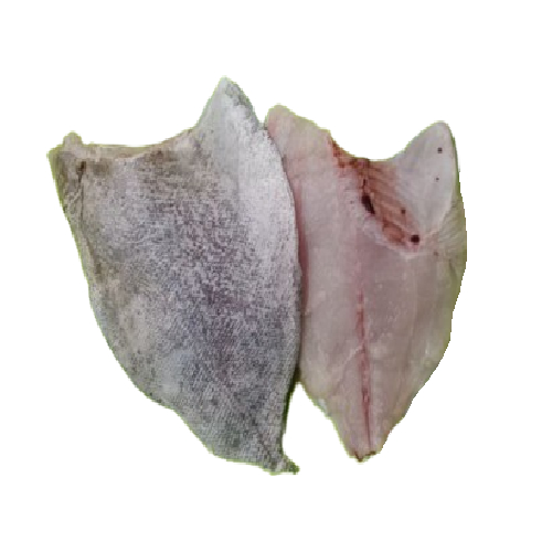 

Dorang Fillet / Fillet Bawal laut 500gr
